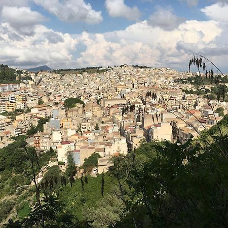 La Domus Di Segesta "Smart Solution" Appartement Calatafimi Buitenkant foto